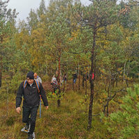PIEDZĪVOJUMS AR PURVA KURPĒM LAUGAS PURVĀ (6617485508789) (6617321767093) (6617399853237) (9320125104470) (9339999584598) (9345002504534) (9345041596758) (9345078100310) (9345122271574) (9366630891862) (9366634725718)