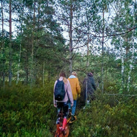 PIEDZĪVOJUMS AR PURVA KURPĒM LAUGAS PURVĀ (6617485508789) (6617399853237) (9320125104470) (9339999584598) (9345002504534) (9345041596758) (9345078100310) (9345122271574) (9366630891862) (9366634725718)
