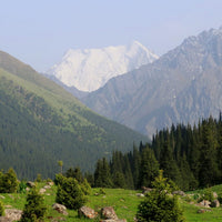 PIEDZĪVOJUMS TJANŠANA KALNOS 8.-15.06.2026