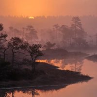 DĀVANU KARTE SAULLĒKTA PĀRGĀJIENS PURVĀ UN BROKASTIS