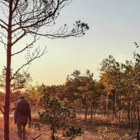 DĀVANU KARTE SAULLĒKTA PĀRGĀJIENS PURVĀ UN BROKASTIS