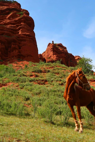 KIRGIZSTĀNA. PIEDZĪVOJUMS TJANŠANA KALNOS 8.-15.06.2026