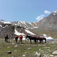 PIEDZĪVOJUMS TJANŠANA KALNOS 8.-15.06.2026