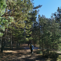 Mežu un pļavu piedzīvojums ar pikniku pie Buļļezera (6562190753973)