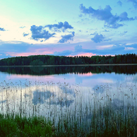 Vaidavas ezera Saulgriežu pārgājiens ar meditāciju 19.jūnijā pl.10.00 (6768557129909)